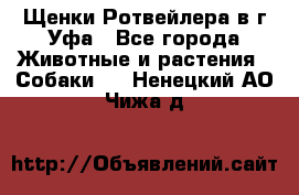 Щенки Ротвейлера в г.Уфа - Все города Животные и растения » Собаки   . Ненецкий АО,Чижа д.